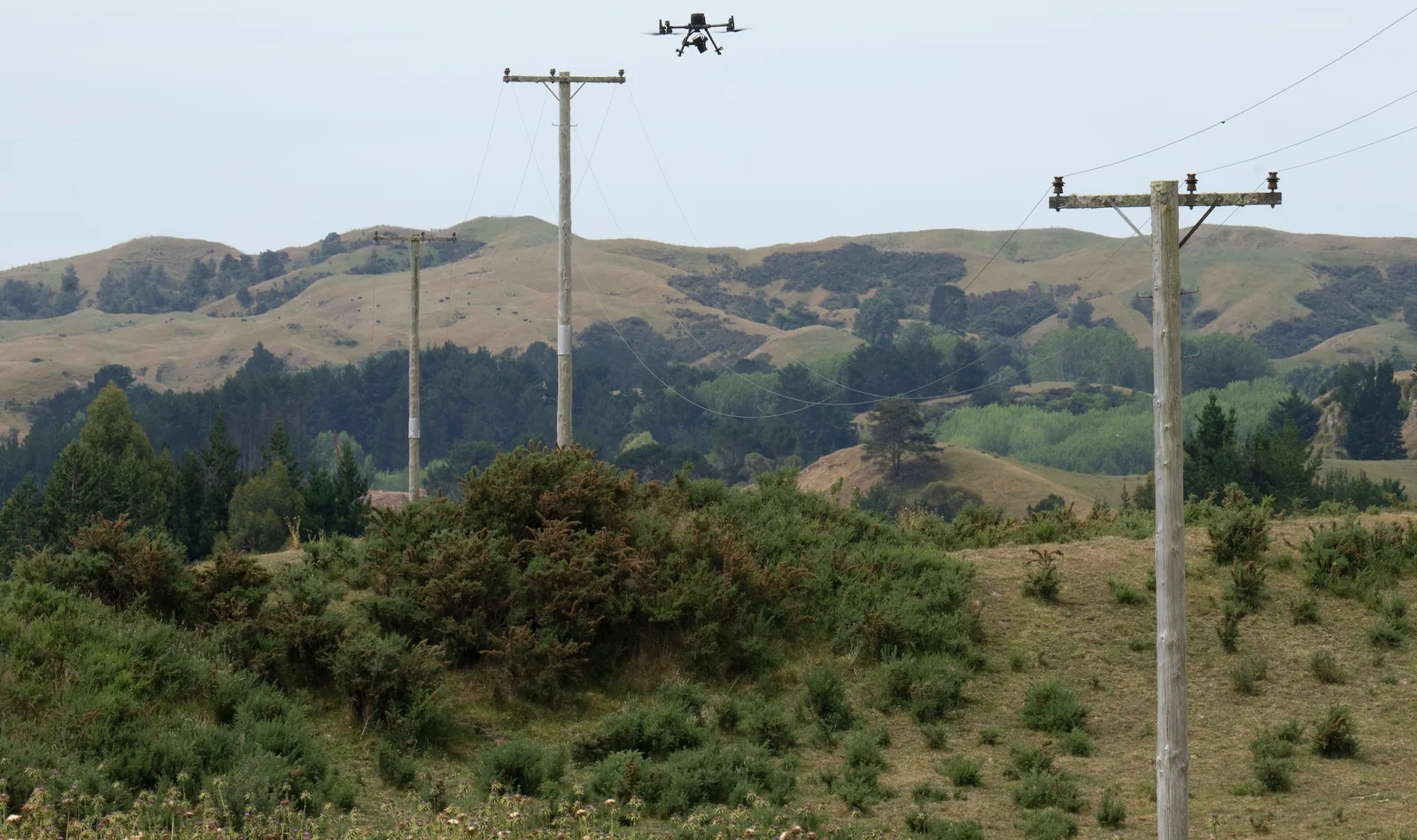 Distribution poles crossing hill country while an inspection drone surveys the line.