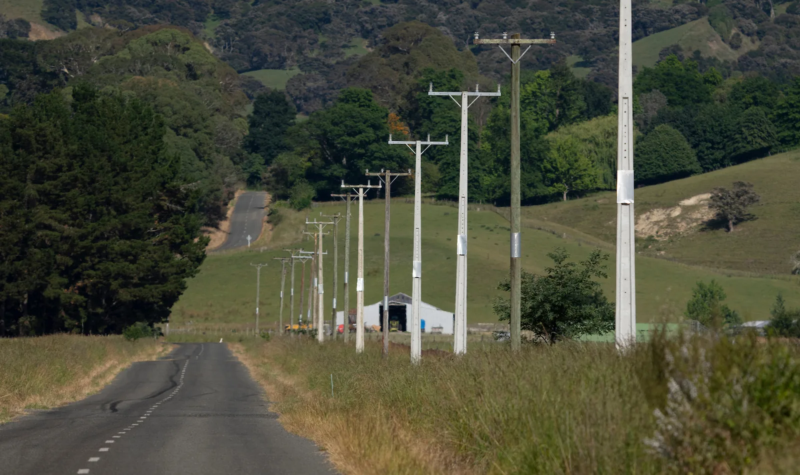 A rural road with a line of distribution poles receding into hill country.